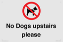 no-dogs-upstairs-please-~